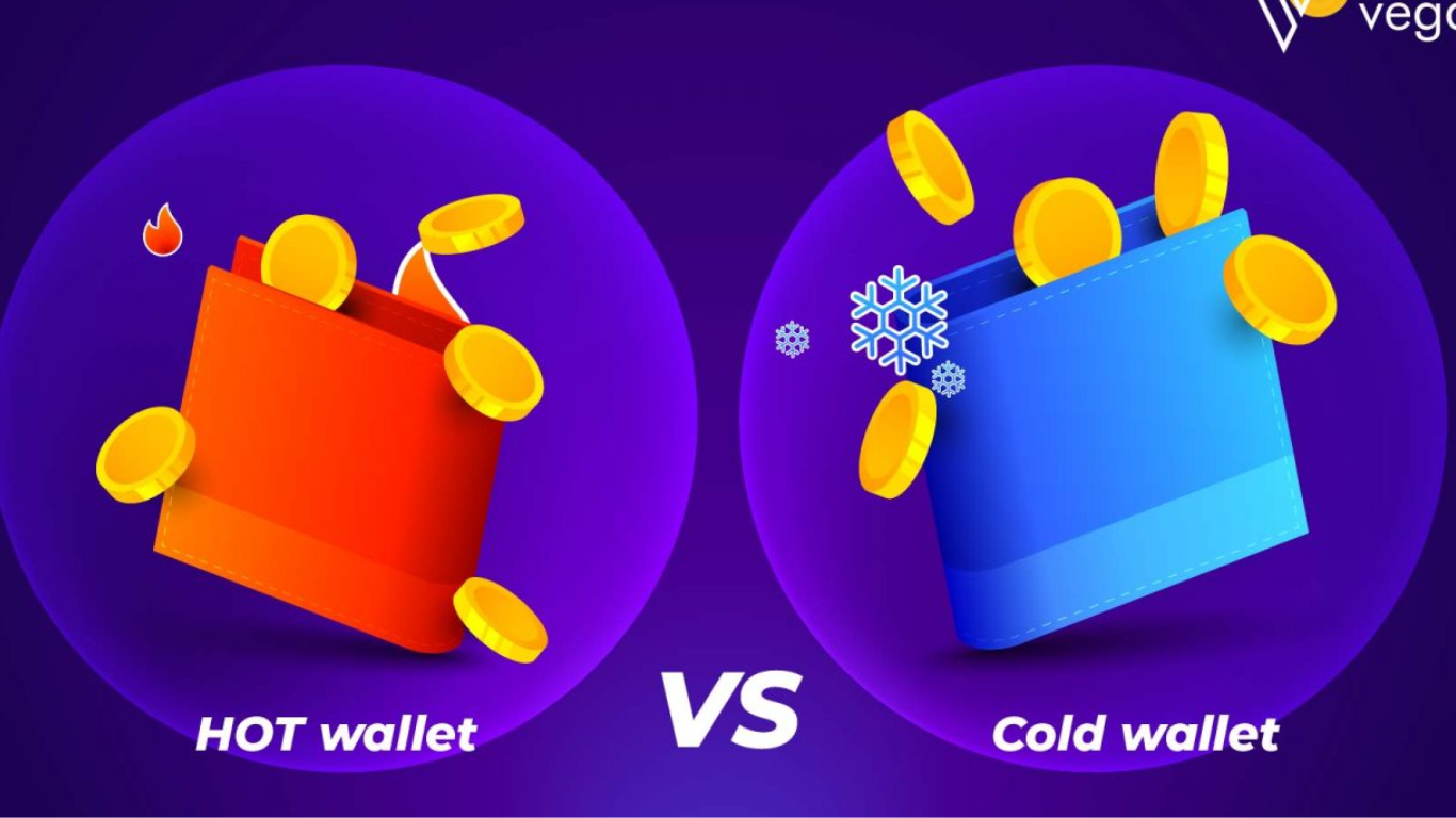 Hot vs. Cold Cryptocurrency Wallets