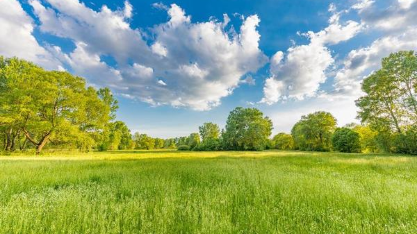 Yield Farming and Staking