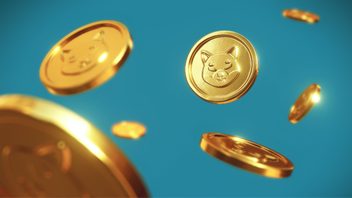 Differences Between Tokens and Coins